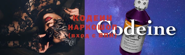 стаф Богданович